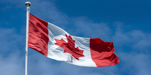 Canadian firm names new chief strategist in manager shake-up