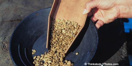 Philip Gibbs: Gold will climb higher on Western currency 'crisis'