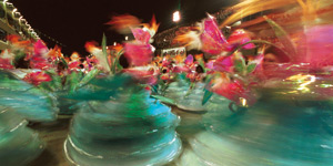 The Accumulator: emerging markets fight back