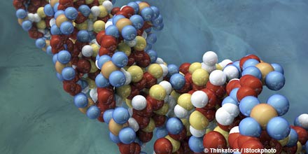 Bankers' behaviour explained by 'greedy gene', study finds
