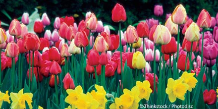 David Kempton: 5 investment companies for Spring