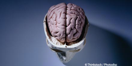 ‘Brain disorder research’ scheme guilty of tax avoidance