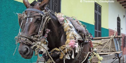 Week Ahead: more horse-trading in US and EU