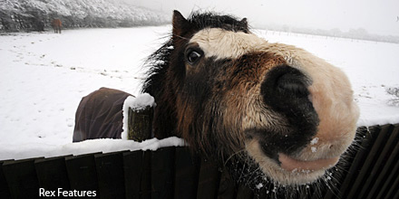 Stop horsing around. What is in our funds?!