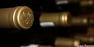 Platform opens wine fund opportunity to wealth managers