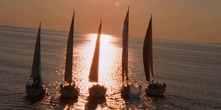 2013 Market Review: did the Fed float your boat?