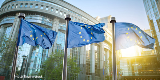 Brexit fears? Buy dollars, builders and Vodafone