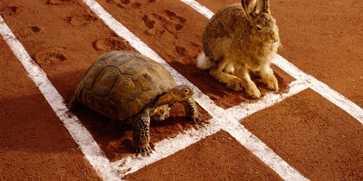 Income Investor: high yield or dividend growth?