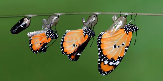 Alliance Trust’s transformation brings hope and fear