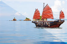 Emerging Markets Equity inc Asia